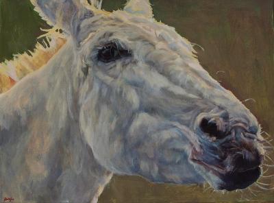 Eunice <br> 18" x 24" oil